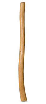 Medium Size Natural Finish Didgeridoo (TW516)
